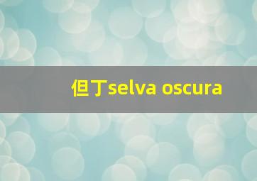 但丁selva oscura